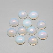 Opalite Cabochons, Half Round/Dome, 6x3~4mm(G-R416-6mm-49)