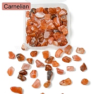 50G Natural Carnelian Chip Beads, No Hole/Undrilled, 5~10.5x5~7x2~4mm(G-YW0001-79)