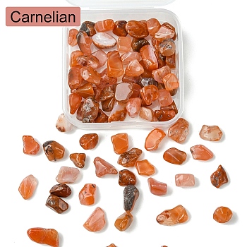 50G Natural Carnelian Chip Beads, No Hole/Undrilled, 5~10.5x5~7x2~4mm