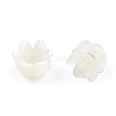 Natural White Shell Bead Caps(SSHEL-N032-58B)-5