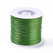 400M Flat Elastic Crystal String, Elastic Beading Thread, for Stretch Bracelet Making, Lime Green, 0.2mm, 1mm wide, about 446.81 Yards(400m)/Roll(NWIR-F011-03I)