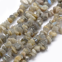 Natural Labradorite Beads Strands, Chip, 5~8mm, Hole: 1mm, about 33 inch(84cm)(X-G-P332-23)
