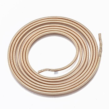 Steel Memory Wire, for Collar Necklace Making, Long-Lasting Plated, Necklace Wire, Light Gold, 12 Gauge, 2mm