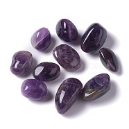Natural Amethyst Beads, Tumbled Stone, Healing Stones for 7 Chakras Balancing, Crystal Therapy, Meditation, Reiki, Vase Filler Gems, No Hole/Undrilled, Nuggets, 21~32x16~20x10.5~18mm, about 100pcs/1000g(G-O188-03)