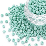 6/0 Glass Seed Beads, Macaron Color, Round Hole, Round, Medium Sea Green, 4~4.5x3mm, Hole: 1~1.2mm, about 4500pcs/bag, about 450g/bag.(SEED-T005-14-B25)