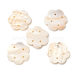 Natural Freshwater Shell Chandelier Component Links, Flower Connector, Flower, 42~43x44~45x3.5mm, Hole: 2.5mm(SHEL-K006-12)