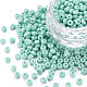 6/0 Glass Seed Beads(SEED-T005-14-B25)-1