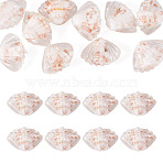 10Pcs Handmade Lampwork Beads, Shell Shape, Clear, 16~17x22.5~23x9.5mm, Hole: 1.6mm(LAMP-TADJ0001-07B)