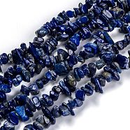 Natural Lapis Lazuli Beads Strands, Grade A, Chip, 3~16x3~8mm, Hole: 0.7mm, 32.28''(82cm)(G-G011-05A)