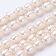 Natural Cultured Freshwater Pearl Beads Strands, Rice, Seashell Color, 7~8x6~7mm, Hole: 0.5mm, about 45~46pcs/strand, 13.8 inch(352mm)(PEAR-P002-55-01)