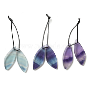 2Pcs Natural Fluorite Pendants, Gems Charms, Wing, 29.5x11x3.5mm, Hole: 1mm(G-Z064-01E)