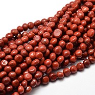 Natural Red Jasper Nuggets Beads Strands, Tumbled Stone, 5~10x6~7x3~7mm, hole: 1mm, about 14.9 inch~15.7 inch(G-J335-46)