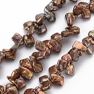 Natural Keshi Pearl Beads Strands, Cultured Freshwater Pearl, Dyed, Square, Sienna, 9~20x9~12x3~6mm, Hole: 0.5mm, about 58~83pcs/strand, 15.75 inch(40cm)(PEAR-S021-075C-03)