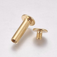 Iron Screw Rivets, Golden, 20.5x9.7mm, Hole: 5mm(IFIN-WH0051-09C-G)
