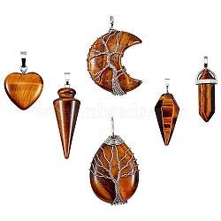 6Pcs 6 Style Natural Tiger Eye Pendants, with Platinum Tone Brass Findings, Mix-shaped, 22~47x15~40x6~16mm, Hole: 3~8x3~8mm, 1pc/style(G-SZ0001-93)