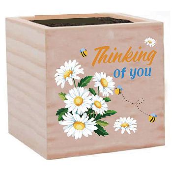 Willow Wood Planters, Flower Pots, for Garden Supplies, Square with Word Thinking of You, April Daisy, 75x75x75mm