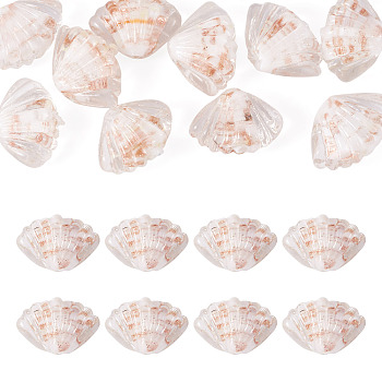 10Pcs Handmade Lampwork Beads, Shell Shape, Clear, 16~17x22.5~23x9.5mm, Hole: 1.6mm