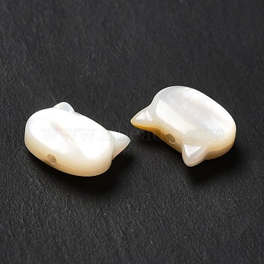 Natural White Shell Beads(SHEL-G014-10A-01)-4
