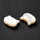 Natural White Shell Beads(SHEL-G014-10A-01)-4