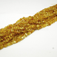 Natural Amber Chip Beads Strands, 4~6x4~6mm, Hole: 1mm, about 15.5 inch(X-G-E333-01A)