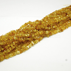 Natural Amber Chip Beads Strands, 4~6x4~6mm, Hole: 1mm, about 15.5 inch(X-G-E333-01A)