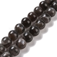 Natural Black Moonstone Beads Strands, Round, 12mm, Hole: 1mm, about 33pcs/strand, 15.7 inch(G-J157-12mm-05)
