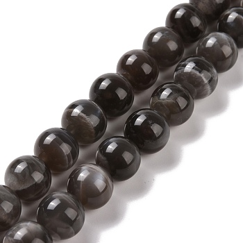 Natural Black Moonstone Beads Strands, Round, 12mm, Hole: 1mm, about 33pcs/strand, 15.7 inch