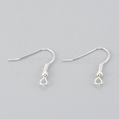 Iron Earring Hooks(X-E135-S-NF)-2
