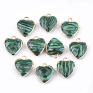Electroplate Synthetic Malachite Pendants, with Cadmium Free & Nickel Free & Lead Free Iron Findings, Faceted, Heart, Golden, 16~17x14~15x6~7mm, Hole: 1.8mm(G-T112-03D)
