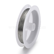 10 Rolls 304 Stainless Steel Wire, Round, for Wire Wrapping Jewelry Making, Stainless Steel Color, 0.3mm, about 65.62 Feet(20m)/roll(TWIR-H001-01B-P)