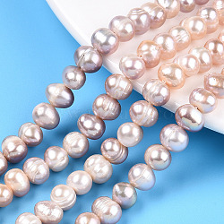 Natural Cultured Freshwater Pearl Beads Strands, Potato, Plum, 6~9x6.5~7.5mm, Hole: 0.6mm, about 52~53pcs/strand, 13.58~13.78 inch(34.5~35cm)(PEAR-N013-06L)