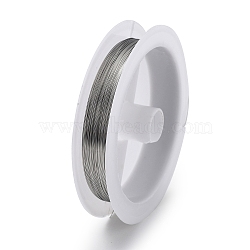 Non-Tarnish 10 Rolls 304 Stainless Steel Wire, Round, for Wire Wrapping Jewelry Making, Stainless Steel Color, 28 Gauge(0.3mm), about 65.62 Feet(20m)/roll(TWIR-H001-01B-P)