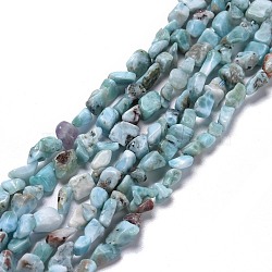 Natural Larimar Beads Strands, Nuggets, 6~12x3~7x3~7mm, Hole: 1mm, about 62pcs/strand, 16.34 inch(41.5cm)(G-K203-91)