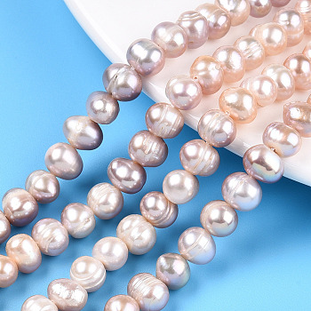 Natural Cultured Freshwater Pearl Beads Strands, Potato, Plum, 6~9x6.5~7.5mm, Hole: 0.6mm, about 52~53pcs/strand, 13.58~13.78 inch(34.5~35cm)