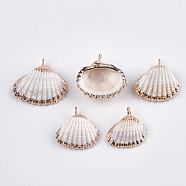 Electroplate Sea Shell Pendants, with Iron Findings, Light Gold, Seashell Color, 19~23x16~25x6~8mm, Hole: 1mm(X-SSHEL-T006-02)