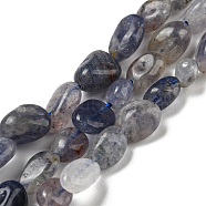 Natural Iolite Beads Strands, Nuggets, Tumbled Stone, 3~11x4~8x3~6mm, Hole: 0.9mm, about 56pcs/strand, 15.94''~15.75''(40~40.5cm)(G-P497-01A-13)