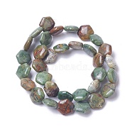 Natural Green Opal Beads Strands, Hexagon, 12~12.5x12.5~13x4.5~5.5mm, Hole: 0.8mm, about 33pcs/strand, 15.5~15.7 inch(39.5~40cm)(G-F607-02)