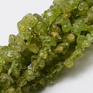 Grade A Natural Peridot Chip Bead Strands, 5~8x5~8mm, Hole: 1mm, about 32~32.5 inch(X-G-M298-05)