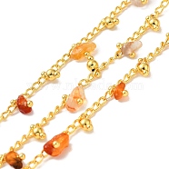 Handmade Natural Red Agate Beaded Chains, Real 18K Gold Plated Brass Twist Chains, Soldered, with Spool, Cadmium Free & Lead Free, Chain Link: 2.5x2x0.5mm, Gemstone: 7x6~10.5x4.5~mm(CHC-M024-01G-03)