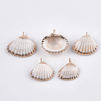 Electroplate Sea Shell Pendants, with Iron Findings, Light Gold, Seashell Color, 19~23x16~25x6~8mm, Hole: 1mm