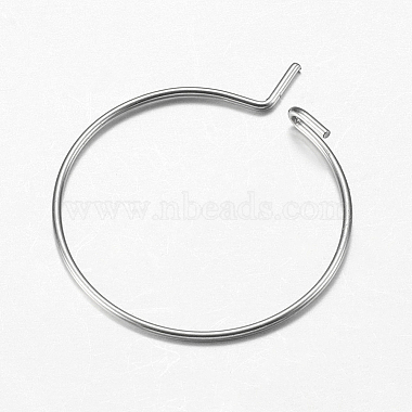 316 Surgical Stainless Steel Hoop Earrings Findings(STAS-I097-050E)-3