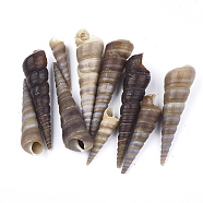Spiral Shell Beads, Turritella Shell, Undrilled/No Hole Beads, Coconut Brown, 32~67x8.5~16.5x9~17mm(SSHEL-S258-34)