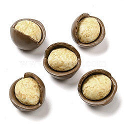 Opaque Resin Decoden Cabochons, Imitation Nut, Macadamia Nuts, Cornsilk, 24x23x20mm(RESI-H156-02-17)