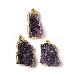 Raw Rough Natural Amethyst Pendants, Nuggets Charms with Golden Tone Stainless Steel Findings, 31~37x19~25x14~17mm, Hole: 4x3mm(G-H084-10G)