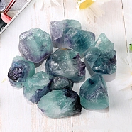 Natural Rough Raw Fluorite Display Decorations, Reiki Stones for Fountain Rocks, Wire Wrapping, Witchcraft, Home Decorations, Random Size and Shape, 10~20mm, 100g/bag(G-PW0007-143A)