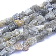 Raw Rough Natural Labradorite Beads Strands, Nuggets, 6~12x6~10x5~8mm, Hole: 0.7mm, about 48pcs/strand, 15.75 inch(40cm)(G-I279-B07)