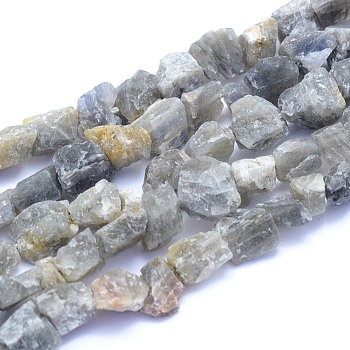 Raw Rough Natural Labradorite Beads Strands, Nuggets, 6~12x6~10x5~8mm, Hole: 0.7mm, about 48pcs/strand, 15.75 inch(40cm)