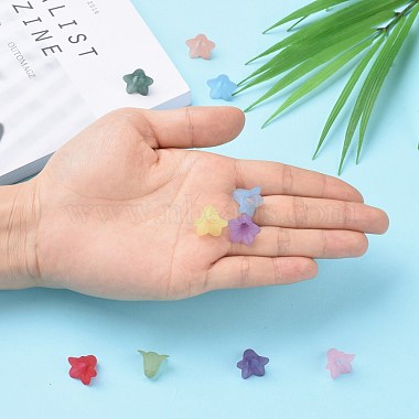 Mixed Color Transparent Acrylic Frosted Flower Beads(X-PLF018)-2