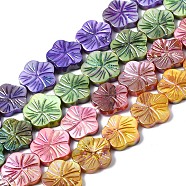 Natural Freshwater Shell Beads Strands, AB Color Plated, Dyed, Flower, Mixed Color, 12.5x13x2.5mm, Hole: 0.7mm, about 30pcs/strand, 14.25~14.76 inch(36.2~37.5cm)(SHEL-Q025-002)