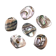 Natural Paua Shell Pendants, Nuggets Charms, 21x16.5x2mm, Hole: 1.5mm(SHEL-T020-11A)